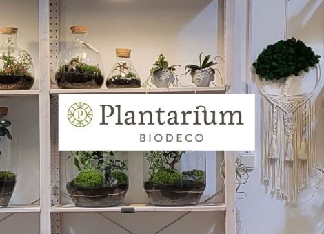 Plantarium Biodeco - Málaga Factory