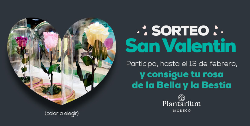 SORTEO SAN VALENTÍN PLANTARIUM BIODECO MÁLAGA FACTORY